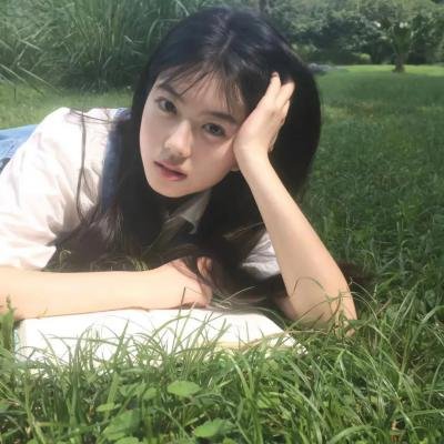狗仔窥视界 在线观看